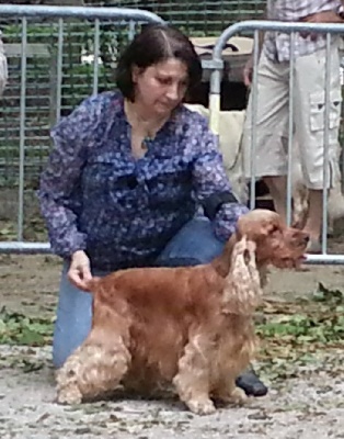 du Vallon de L'Oriol - Le Puy en Velay 2013