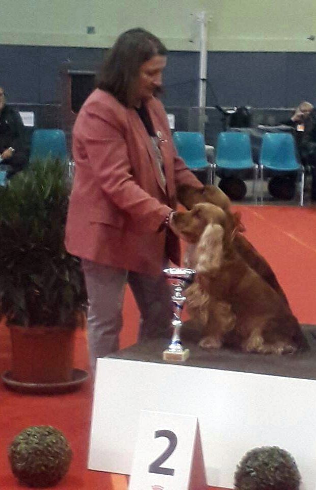 du Vallon de L'Oriol - Exposition Canine de Cavalaire