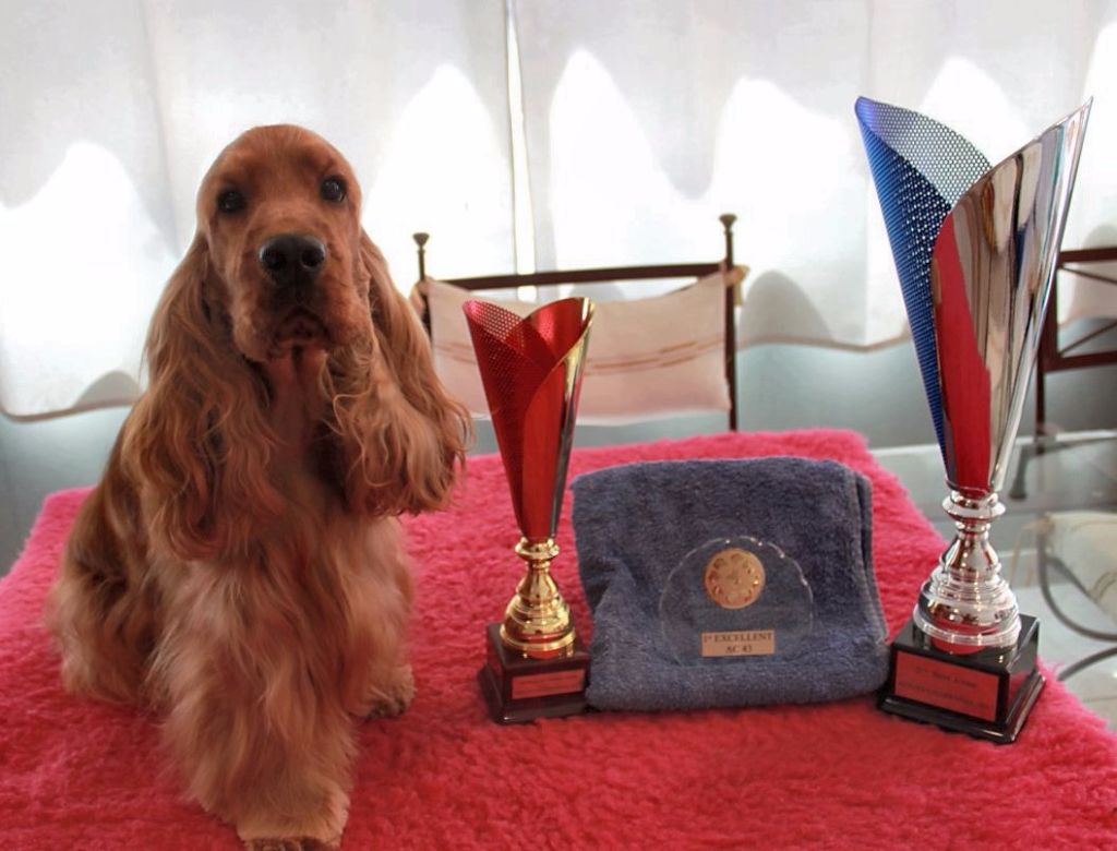 du Vallon de L'Oriol - 30.07.2017. Brives Charensac. Expo canine